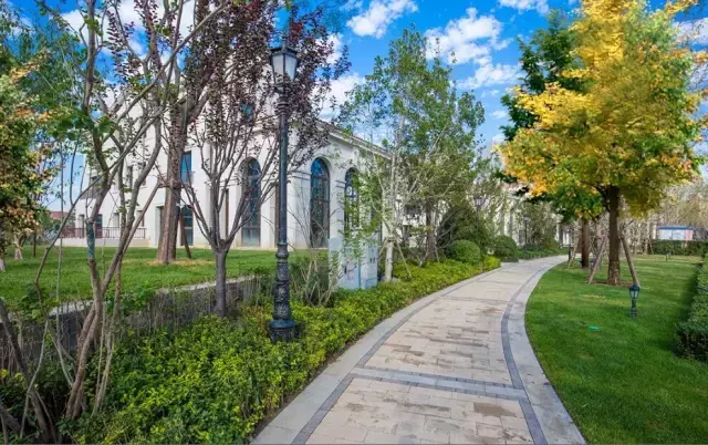 天津最贵的19样东西，竟然看哭了！果然贫穷限制了想象力……