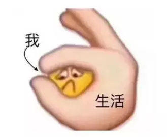 天津最贵的19样东西，竟然看哭了！果然贫穷限制了想象力……