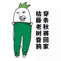秋裤斗图表情包:大哥,天冷了,买条秋裤穿撒