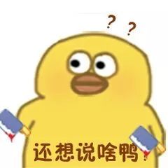 小黄鸭表情包大全