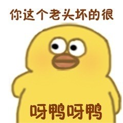 小黄鸭表情包大全