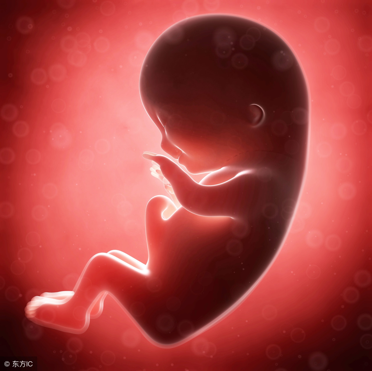 孕五个月男宝宝b超图什么样（0-40周胎儿B超数值对比！教你看懂医院化验单！（孕妈必须收藏）） | 说明书网