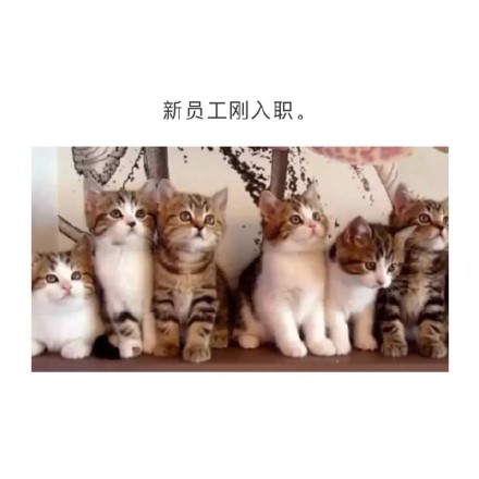单位各部门领导表情包，笑Cry