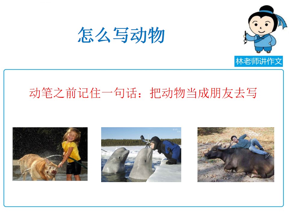 写动物的作文写不好，林老师手把手把方法教给你