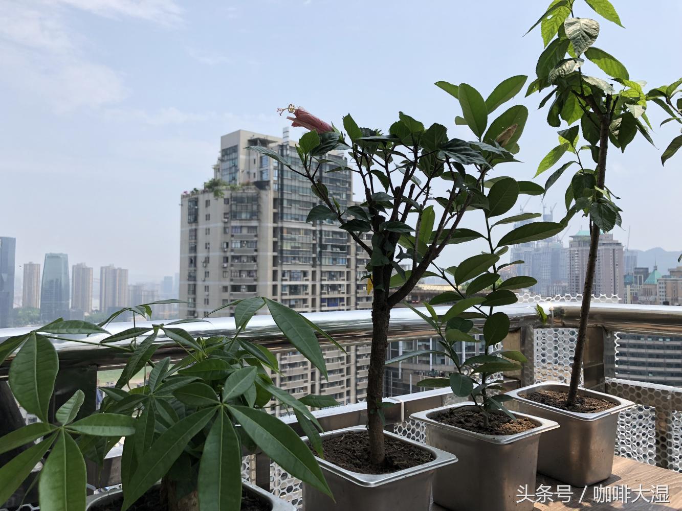 咖啡师培训课程介绍