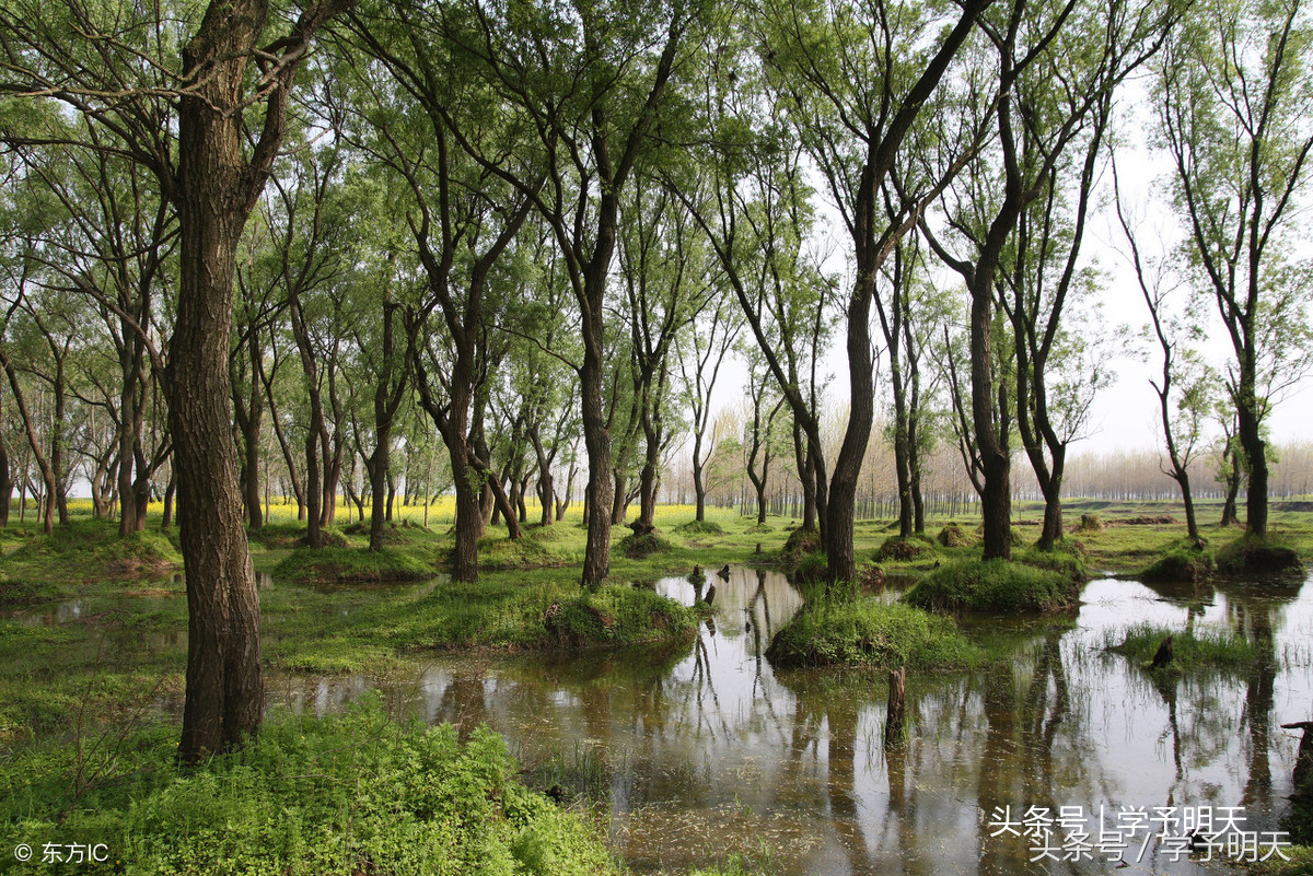 大语文学习：小升初古诗《塞下曲》