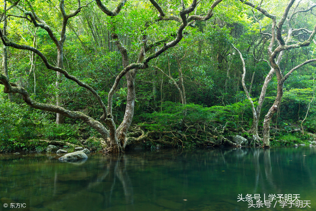 大语文学习：小升初古诗《塞下曲》