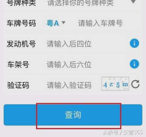 电子眼交通违章查询,电子眼违章查询
