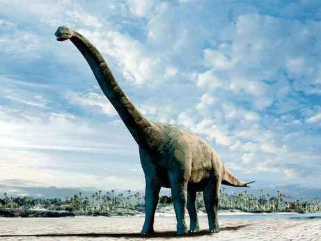 盘点17种让古生物学家都感到奇怪的恐龙