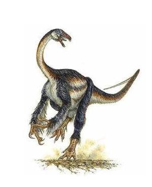 奇异的犹他铸镰龙(falcarius utahensisi)