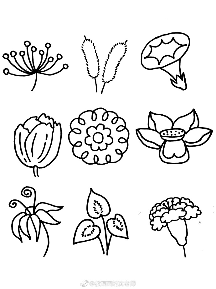 100种花朵简笔画图片