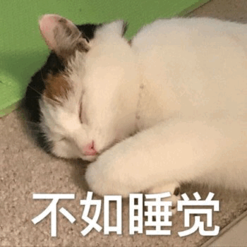 猫咪搞笑表情包：你能把我怎么样