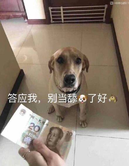 答应我不要当舔狗表情包