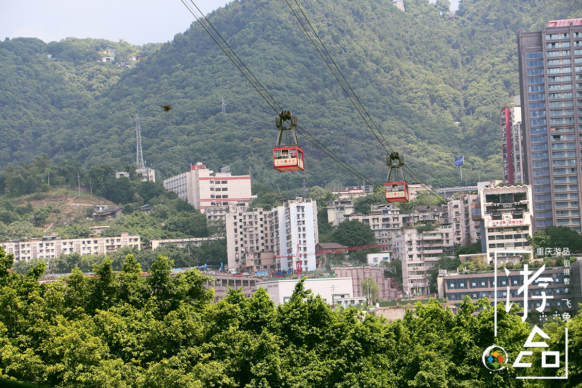 重庆是南方还是北方（南方城市的北方性格）