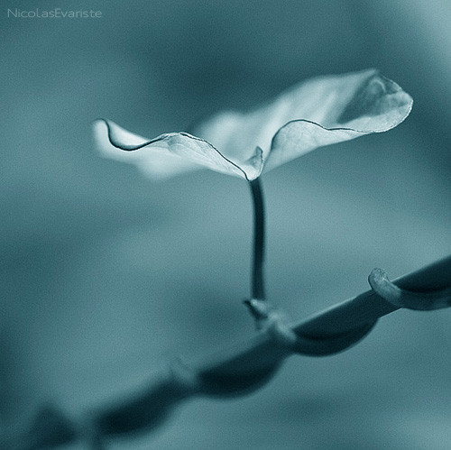 不期而遇，来日可期，不言而喻，如约而至