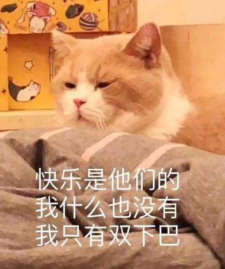 猫咪表情包：想你，脑子里全是你