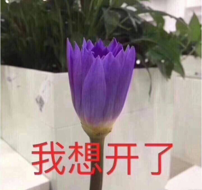 搞笑斗图表情包精选20张