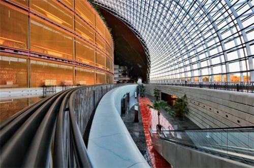 张国宝：“巨蛋”诞生记——我亲历的大剧院设计决策过程