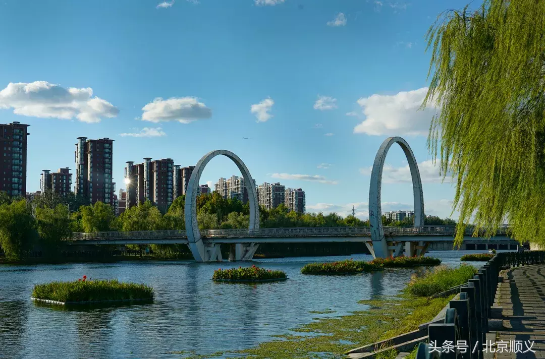 秋意浓浓,来顺义这几处公园寻找最美秋色!