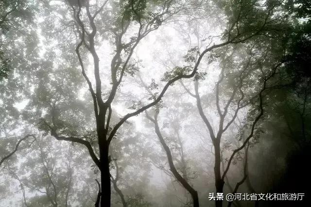 寻一处安逸，静听雨落，细赏美景