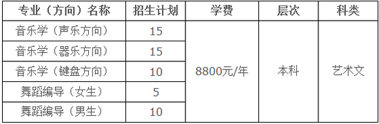 烟台大学2019年艺术类招生简章什么时候发布？