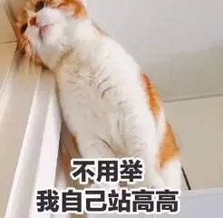 有点丧有点忧郁的猫咪表情包