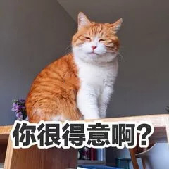 有点丧有点忧郁的猫咪表情包