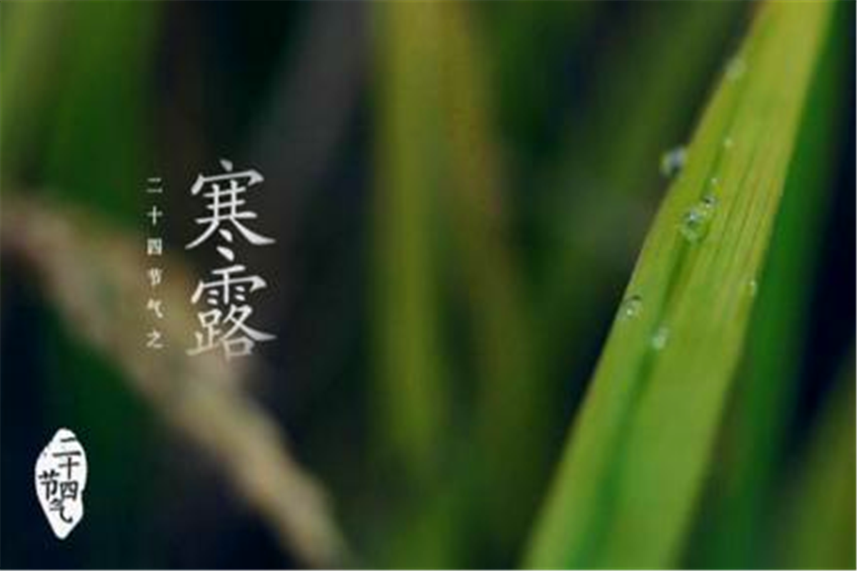 “寒露雷声发，大旱一百八”是啥意思？天气对农作物收成影响真大