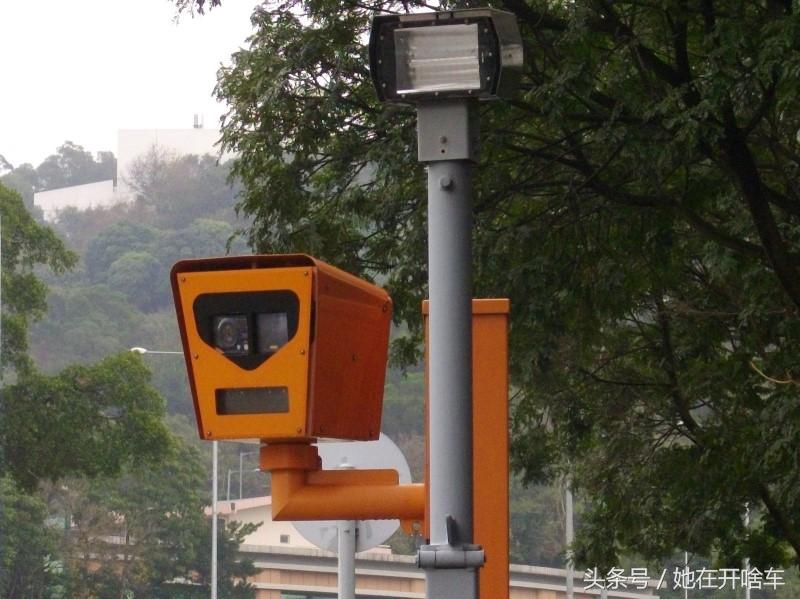 电子狗到底能不能装？专家给出解释后，车主纷纷表示质疑