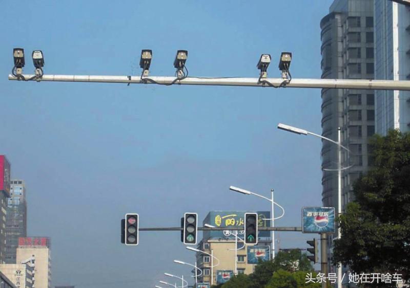 电子狗到底能不能装？专家给出解释后，车主纷纷表示质疑