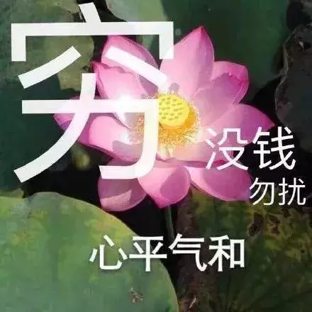 最近非常火的沙雕表情包