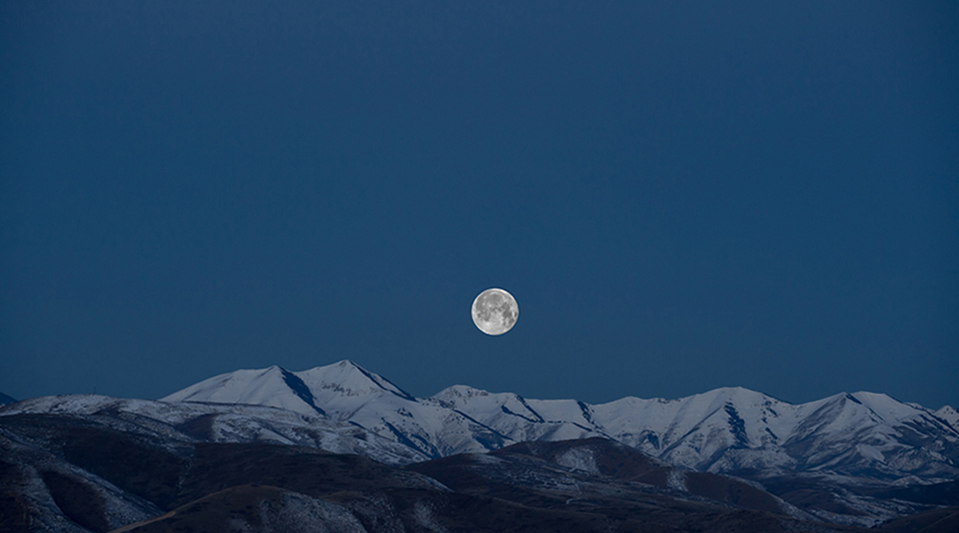 《梁上君子》，文言文十分钟拿下！