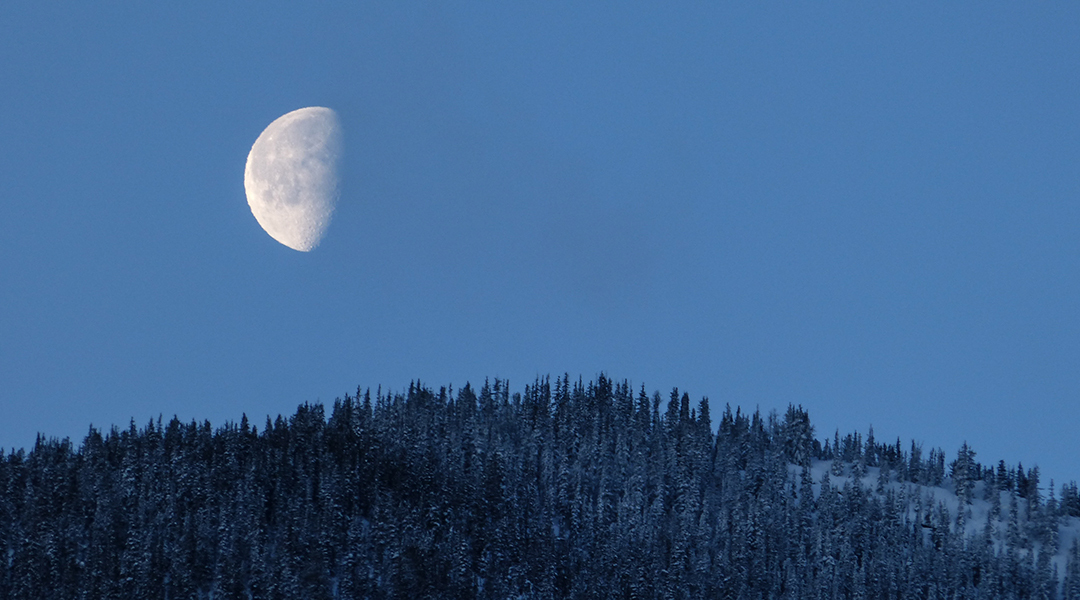 《梁上君子》，文言文十分钟拿下！
