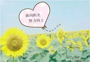 英语“百分比”的表达法！