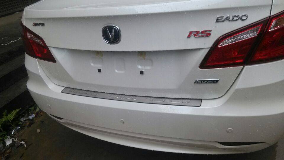 盘点让人忍不住吐槽的车身改装，车身拉花上榜，第三个最傻