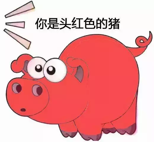 搞笑斗图表情包：你是头七彩猪