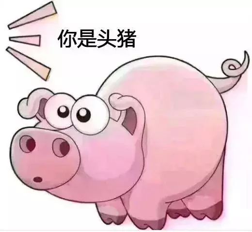 搞笑斗图表情包：你是头七彩猪