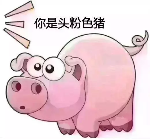 搞笑斗图表情包：你是头七彩猪