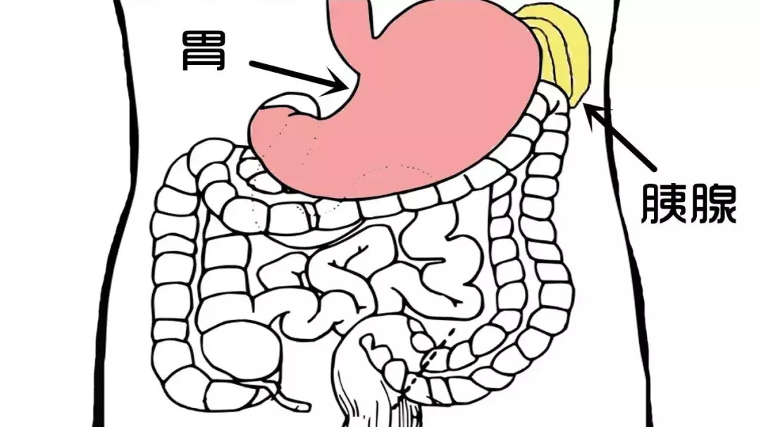 肚子疼,究竟是哪里疼?疼痛背后的急性病,连医生都紧张
