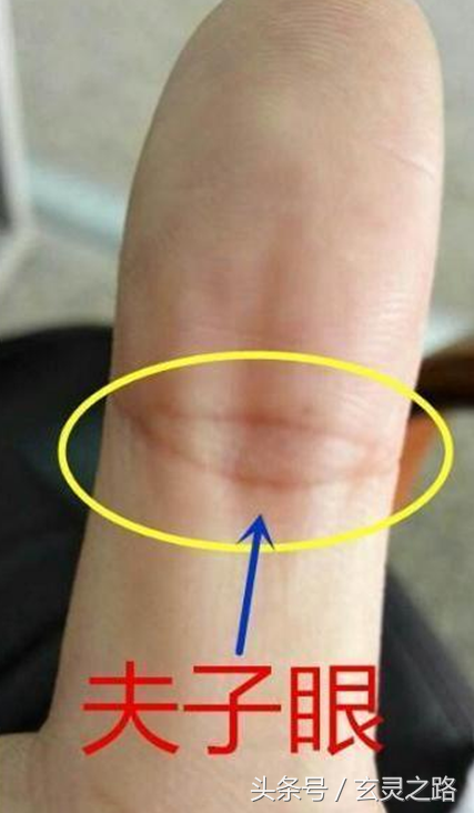 在大拇指的第一个关节上,有一个纹路叫做凤眼纹,一般情况下,有这个纹
