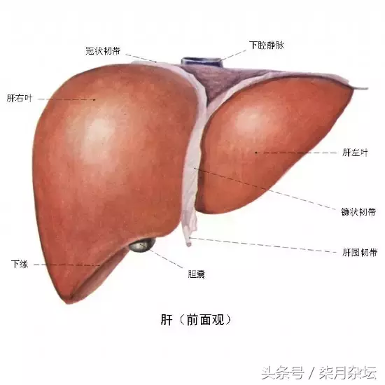 生命在于运动，打羽毛球真的可以让你比同龄人更健康年轻态