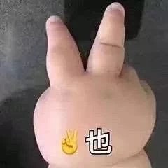 忘了他吧，我养你