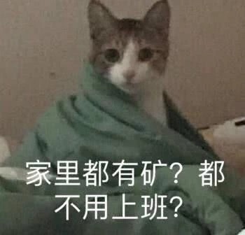 忘了他吧，我养你