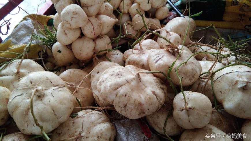 薯瓜 功效与作用-我的快乐小窝