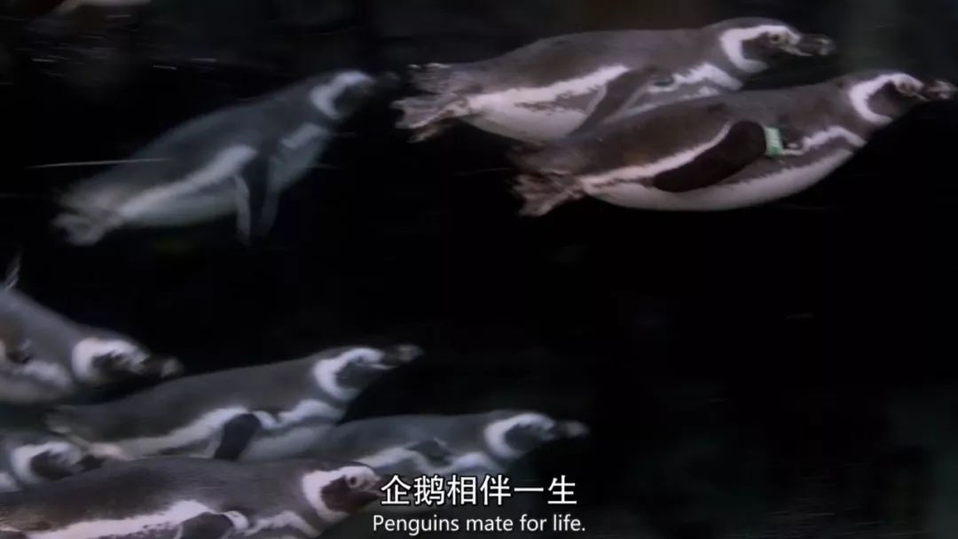 豆瓣达到9.2分，这部美剧佳作，我看了哭了！