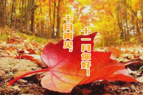 10月再见图片大全