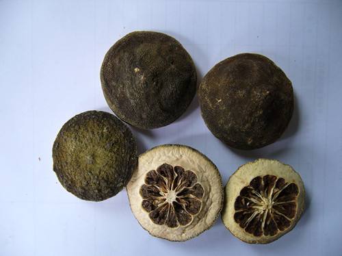 与枳实出自同一植物的枳壳,你知道它有哪些养生功效吗?