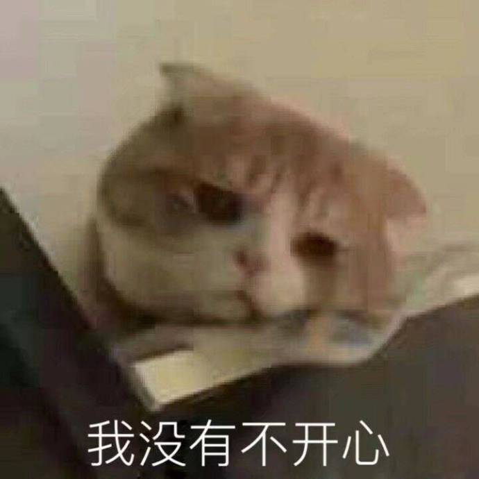 猫咪表情包：哥哥在吗？要记得找我玩