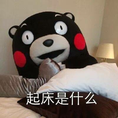 今日热门表情包：你真的起床过吗