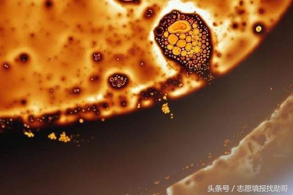 大放异彩、前景广阔的功能材料专业！